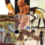 La dégénérescence