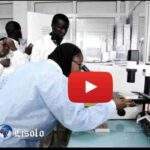 Qui a dit que toute l’Afrique est pareille ?